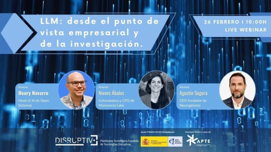 Modelo de Lenguaje Extenso, LLM. Pautas para empresas e investigadores Modelo de Lenguaje Extenso, LLM. Pautas para empresas e investigadores