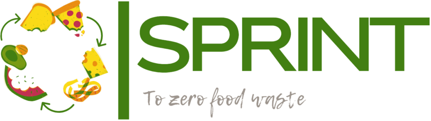 Jornada de cierre del proyecto SPRINT Jornada de cierre del proyecto SPRINT